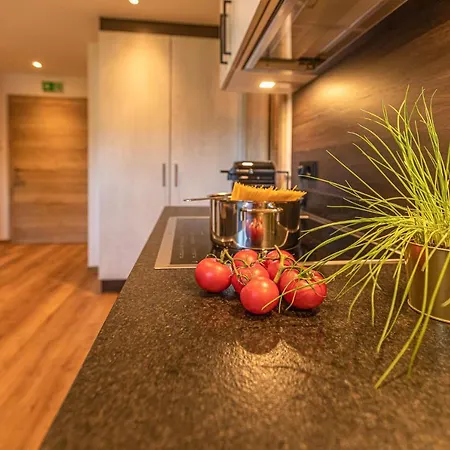 Tevini Boutique By We Rent Apartment Zell am See