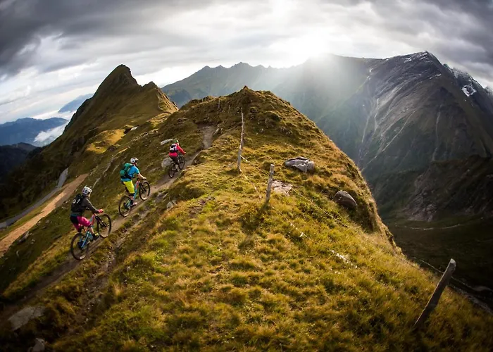 Tevini Boutique By We Rent زيل أم سي