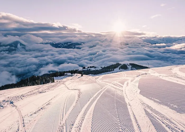 Tevini Boutique By We Rent * زيل أم سي